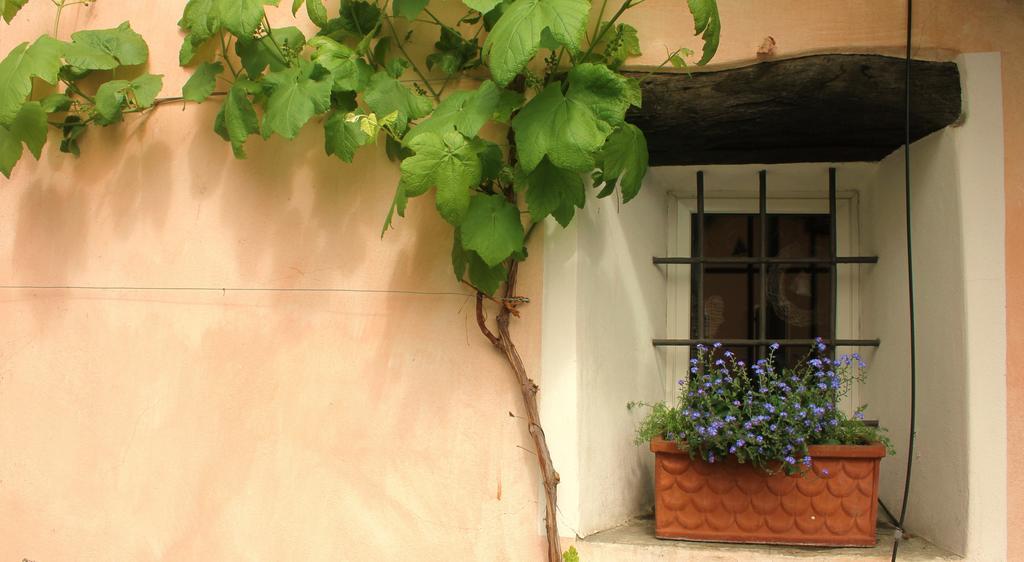 Casa Don Bosco छुट्टी का घर *